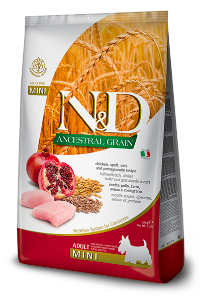 N&D Chicken & Pomegranate Adult Mini