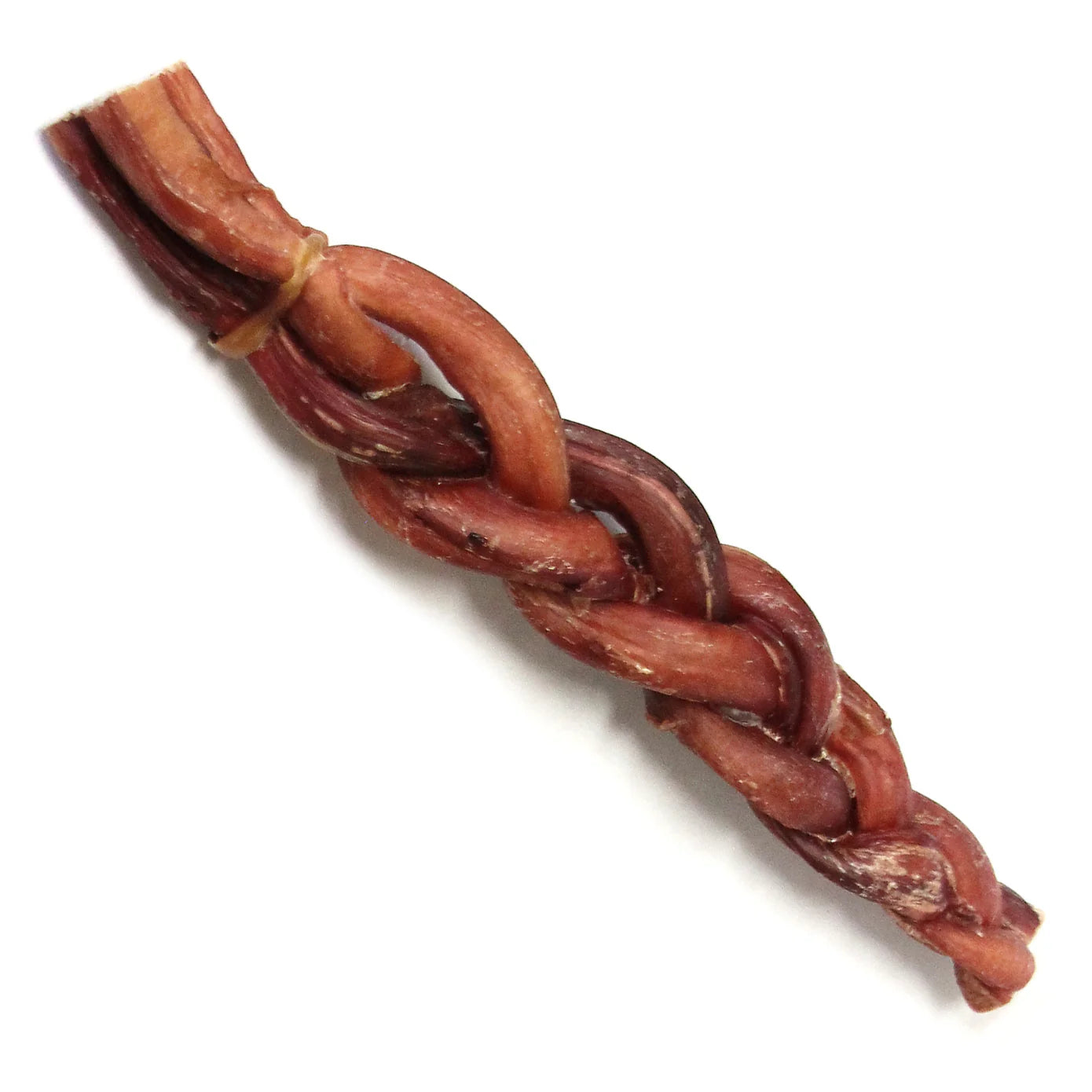 12" Jumbo Braided Bully Stick - Odor Free