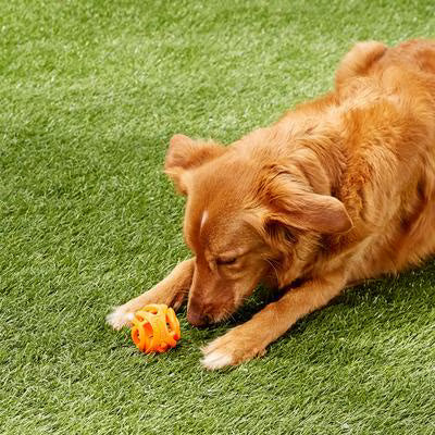 Chuckit! Air Fetch Ball