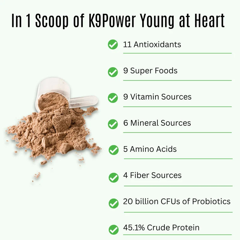 K9 Power | Young at Heart