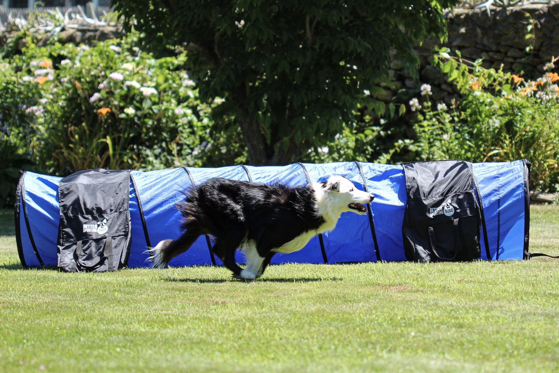 Agility set in use