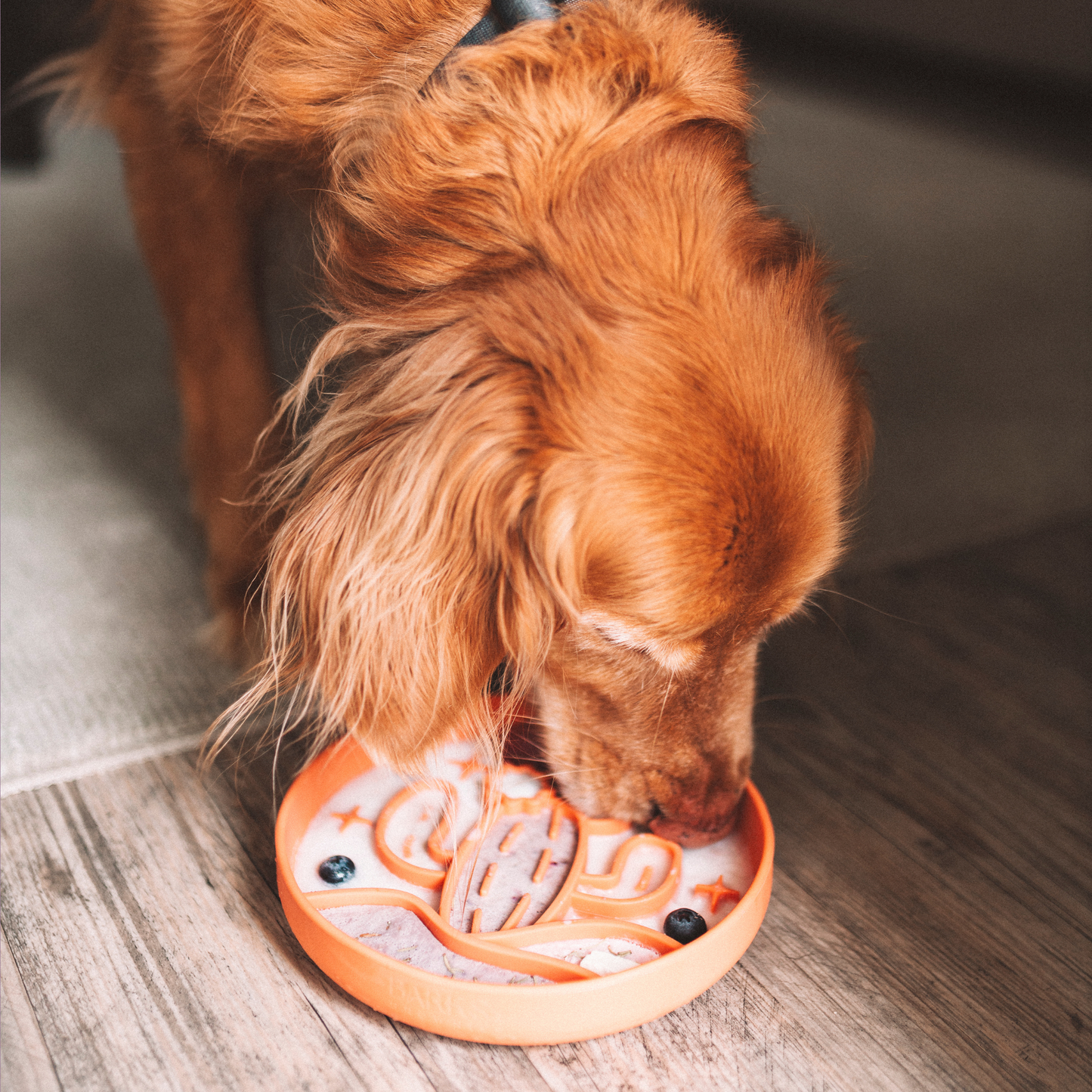 Cactus Silicone Slow Feeder Bowl - Tangerine