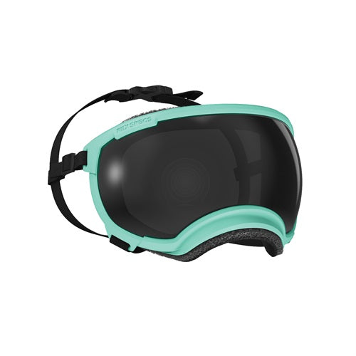 Rex Specs V2 Goggles - Mountainview Mint