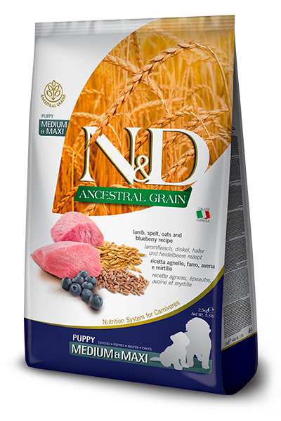 N&D Lamb & Blueberry Puppy medium & maxi