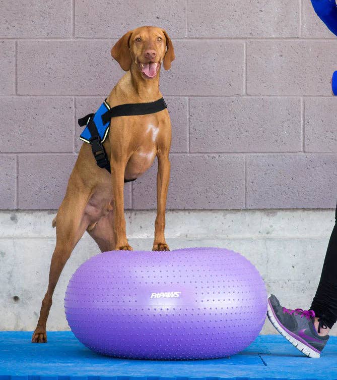 FitPAWS® TRAX Donut, Purple
