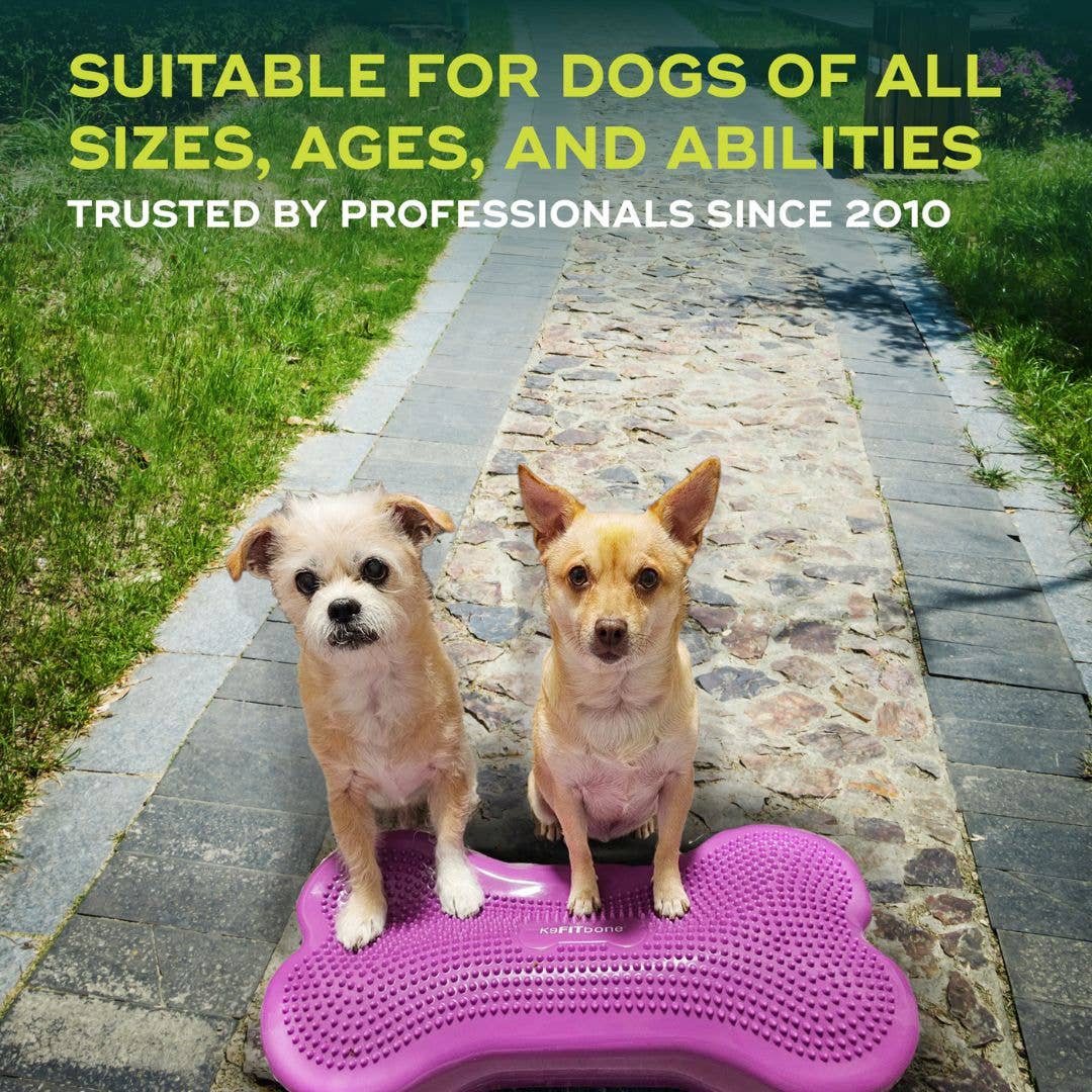 Regular K9FITbone Dog Balance Training Platform