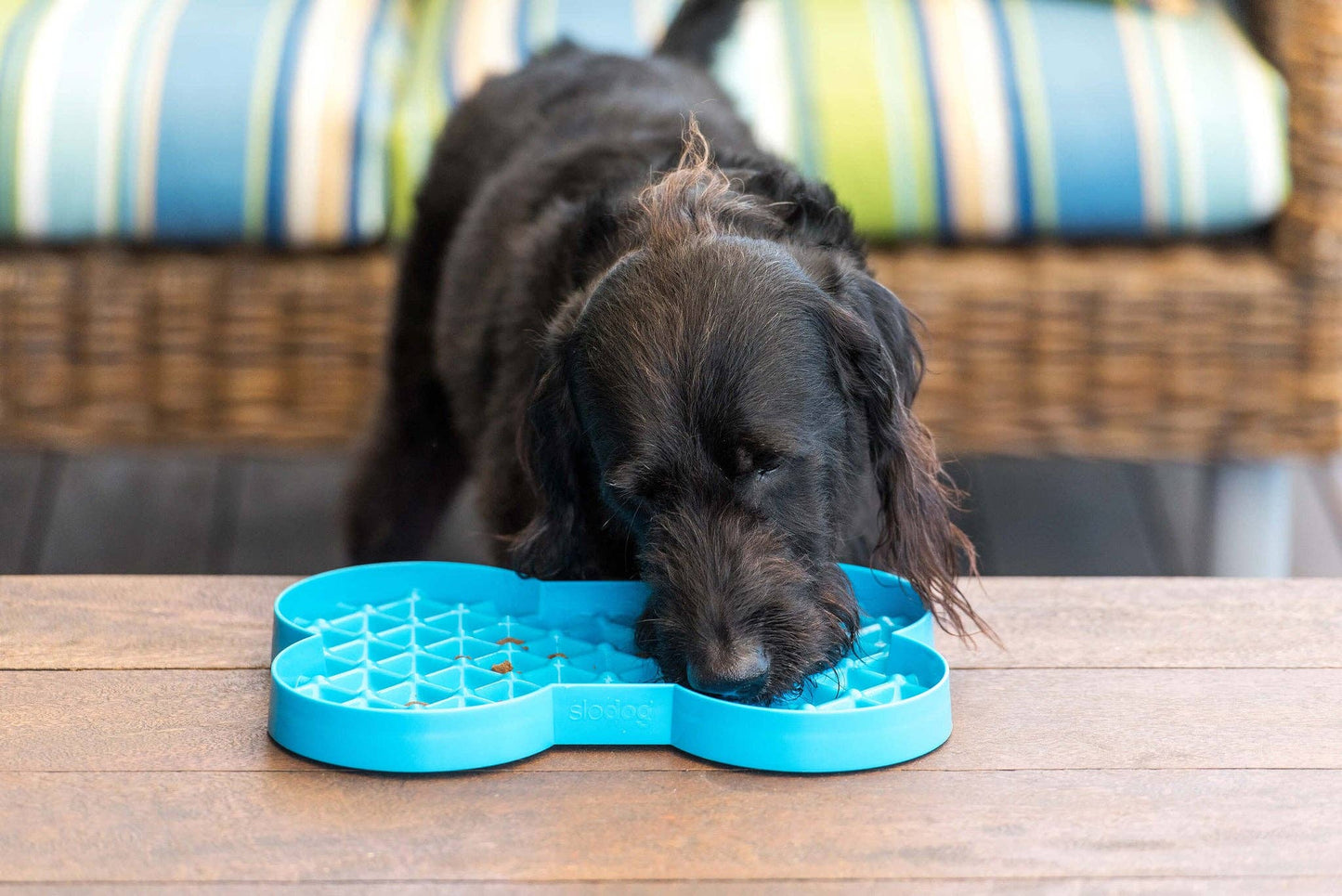 LickiMat SloDog - No Gulp Slow Feeder