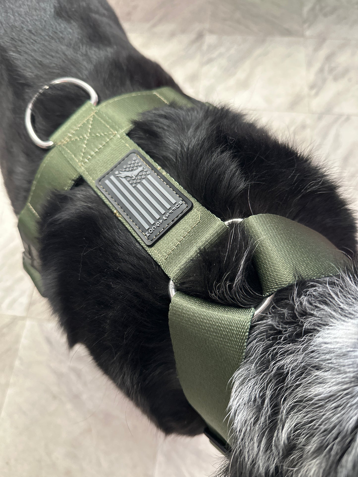 Ruff Swag Adult Dog Harness