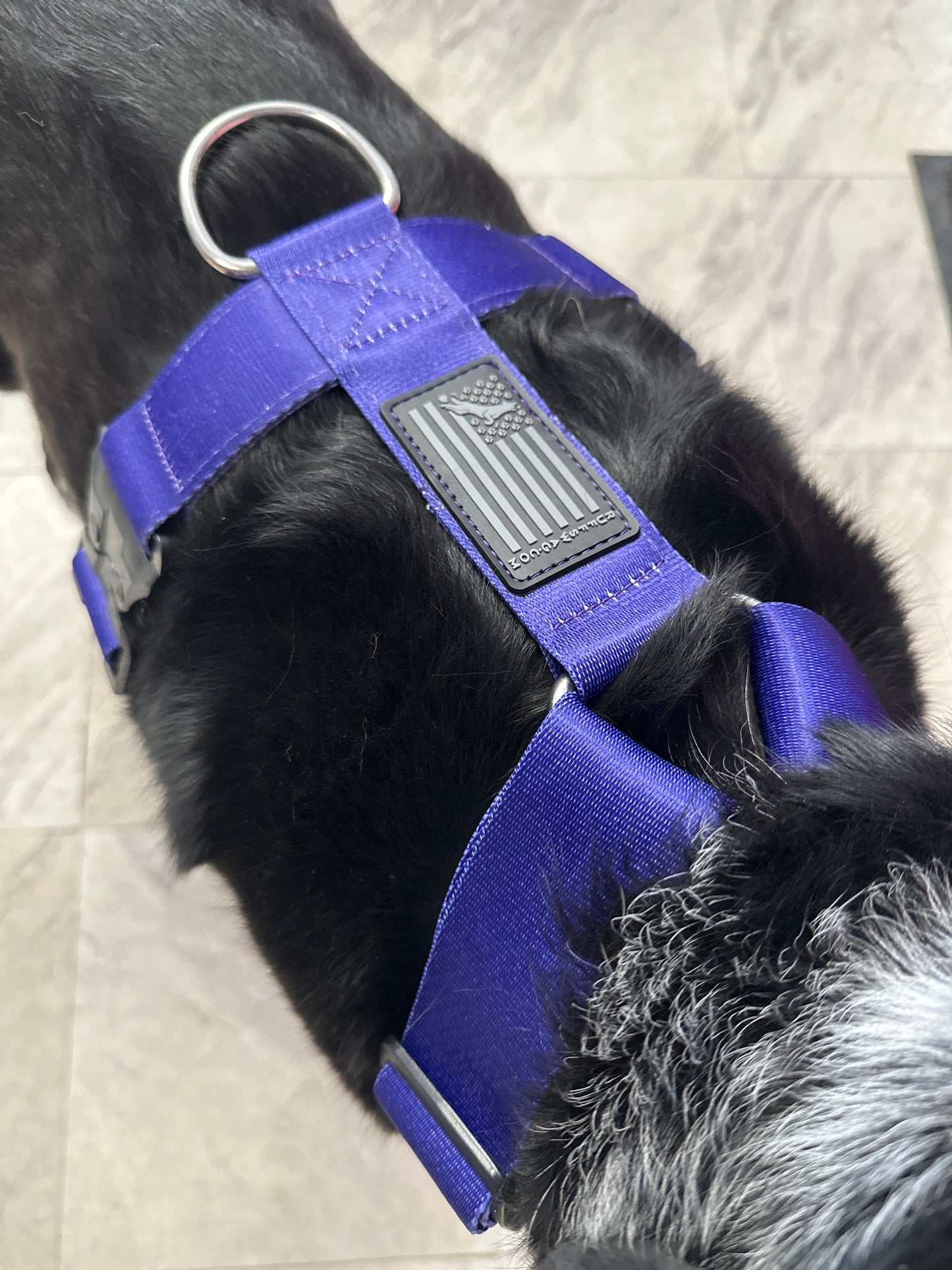 Ruff Swag Adult Dog Harness