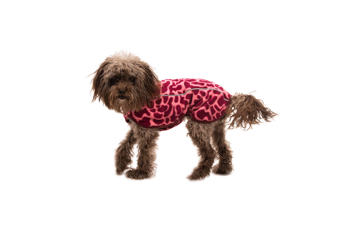 Berry Lava - On Dog Action 1