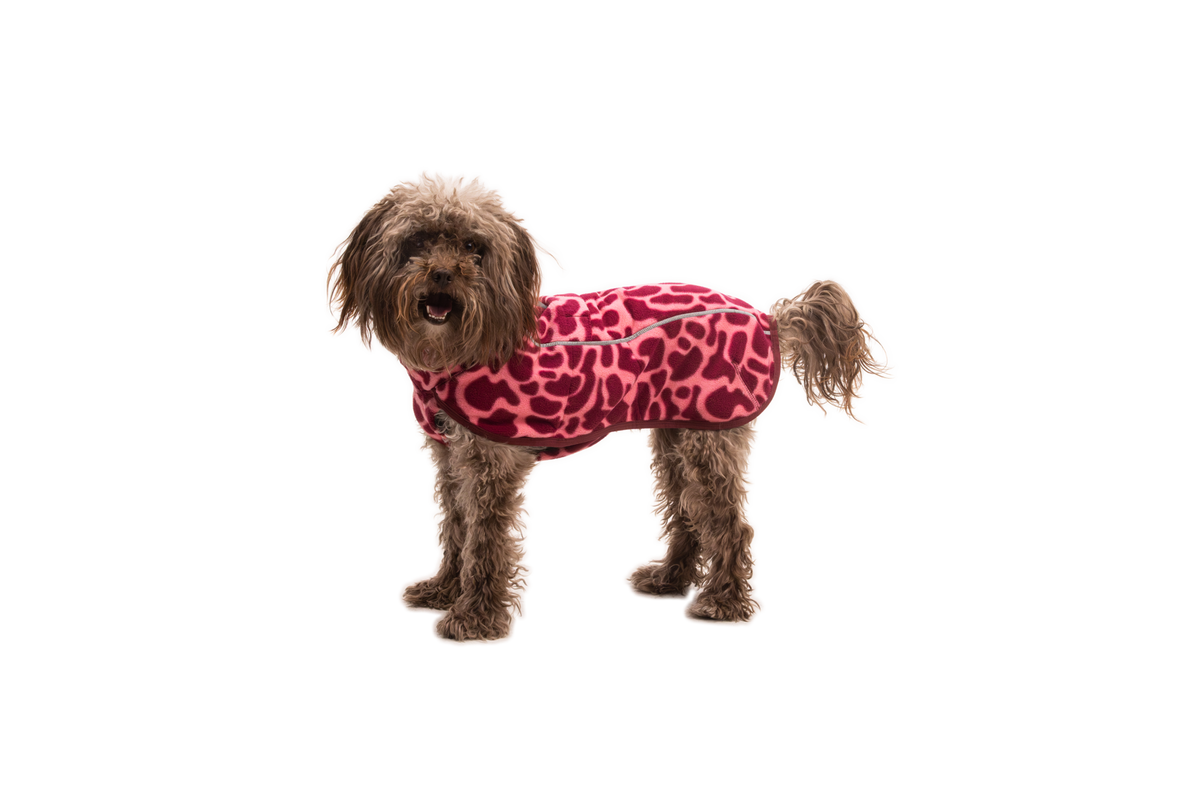 Berry Lava - On Dog