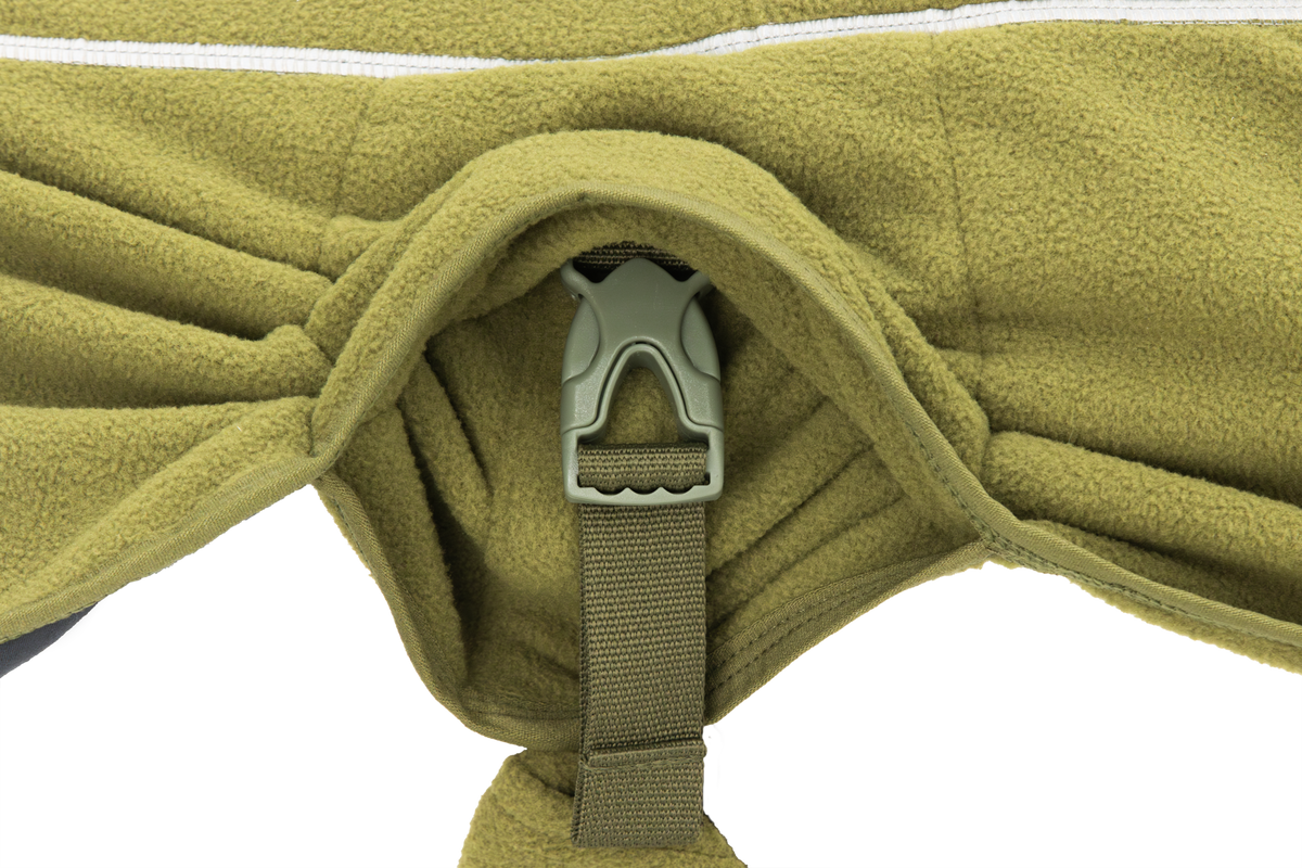 Cedar Green - Clip