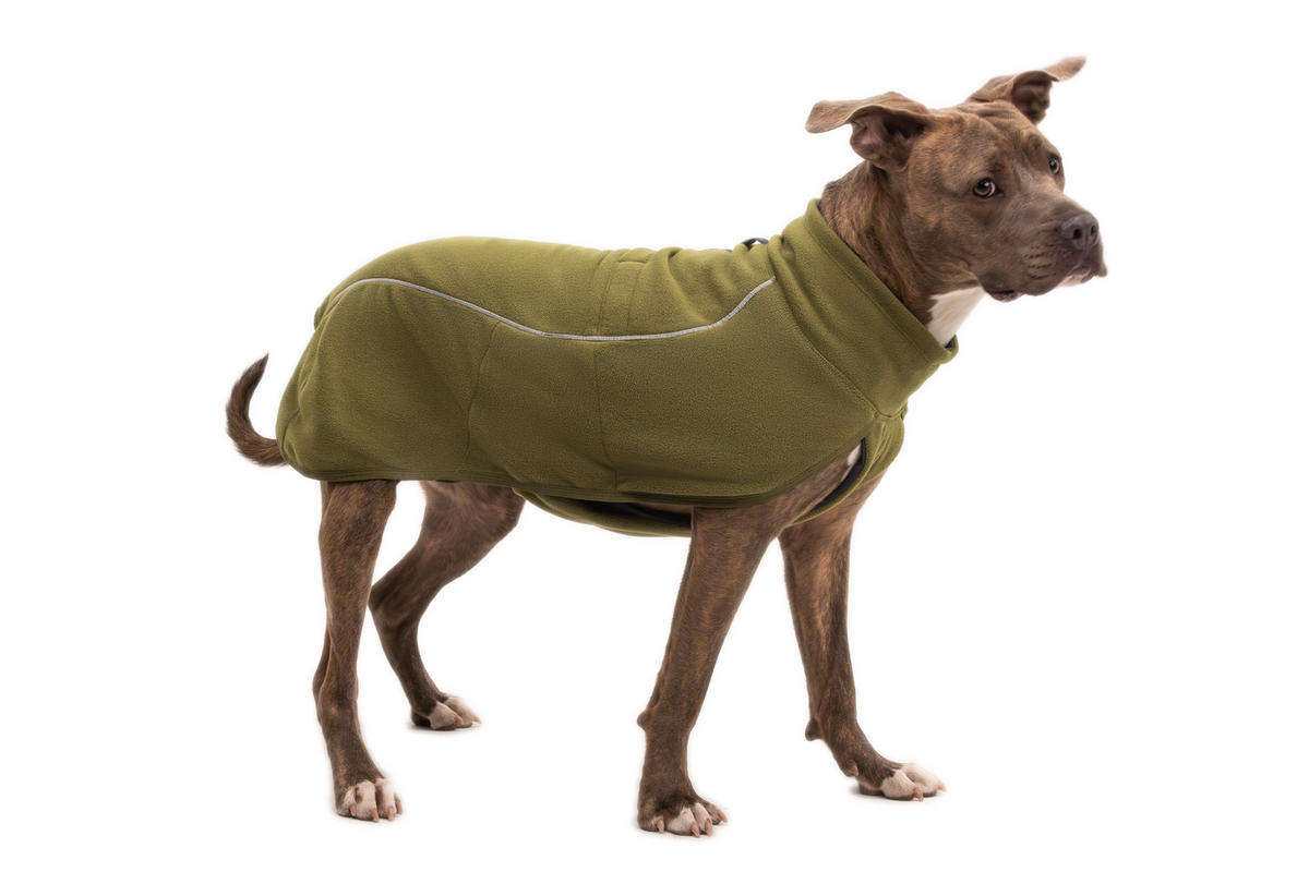 Cedar Green - On Dog Action 2