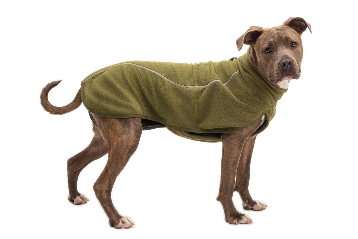 Cedar Green - On Dog