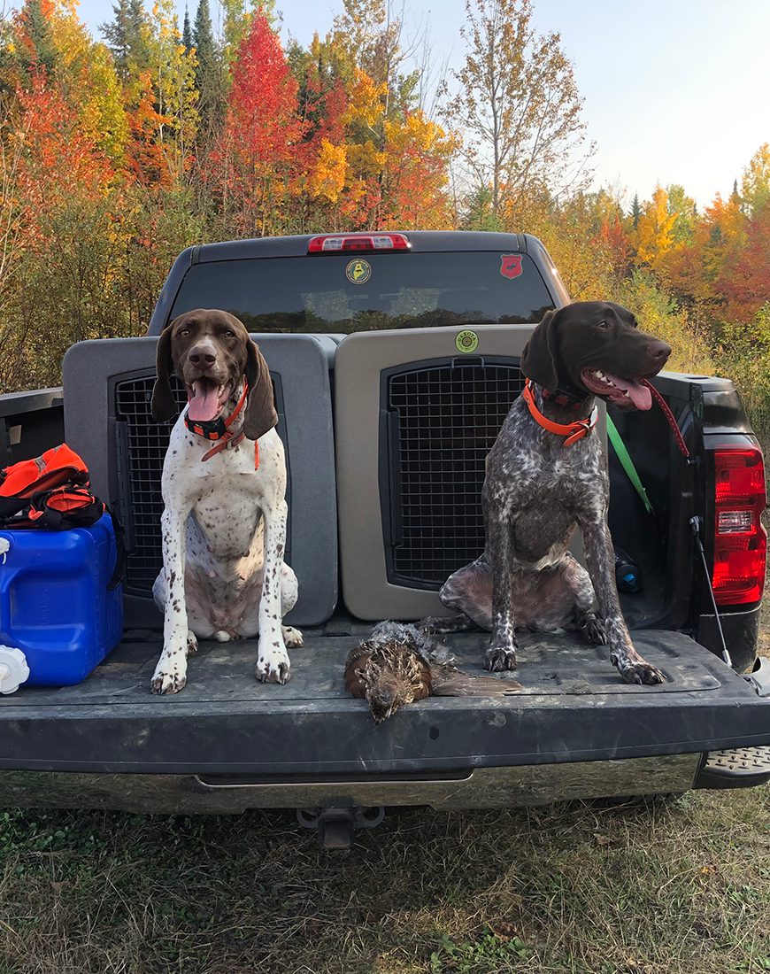 G3 Large Framed Kennel