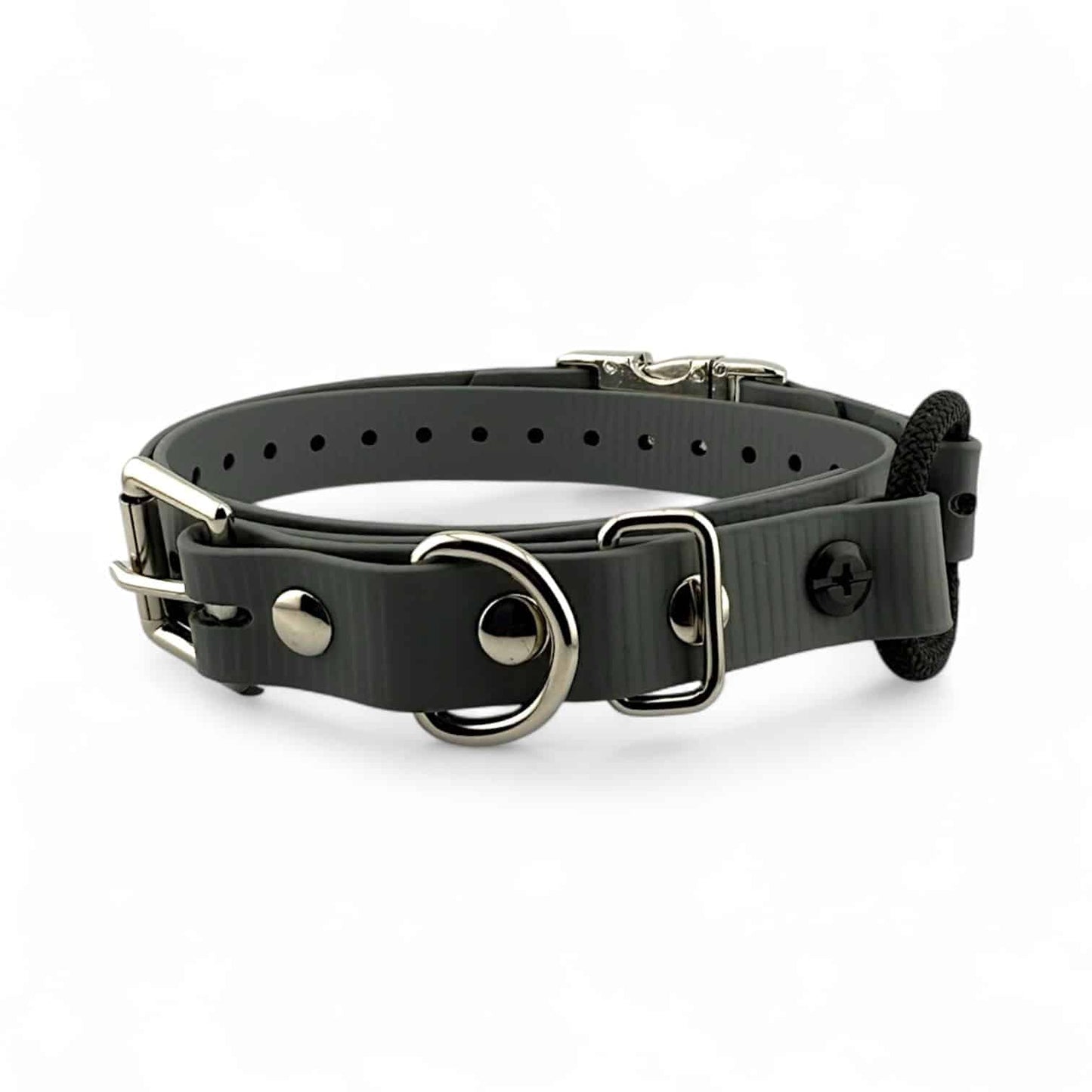 Small Dog MICRO 3/4” Quick Snap Bungee Collar