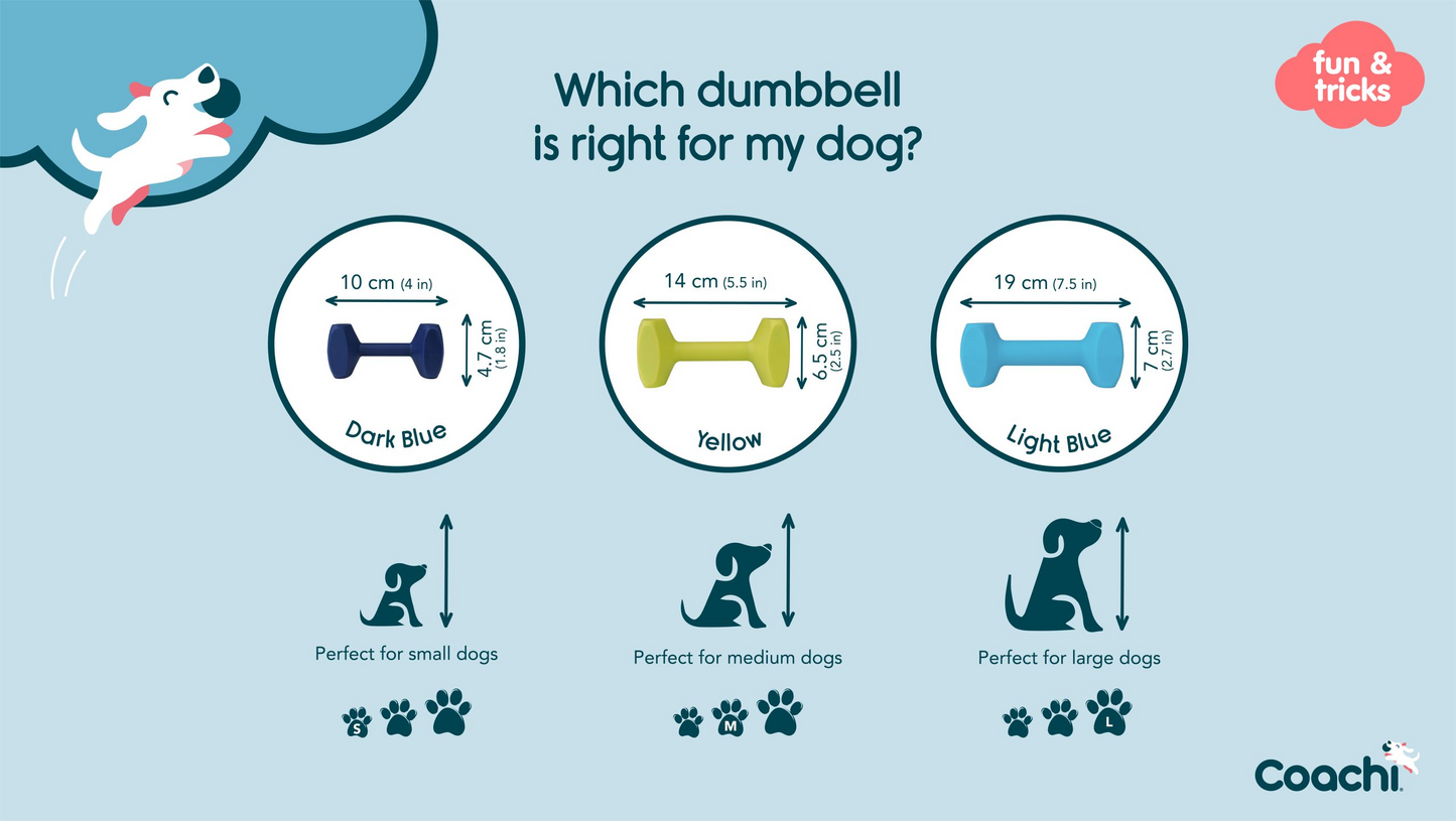 Coachi Training Dumbbells
