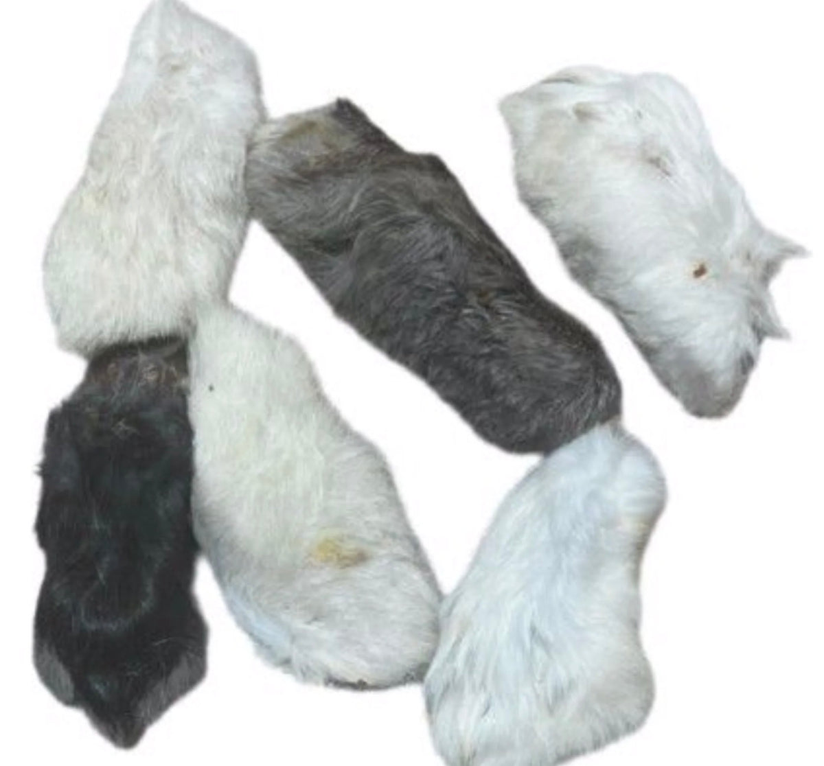 Great Lakes Medium Rabbit Feet with Hair