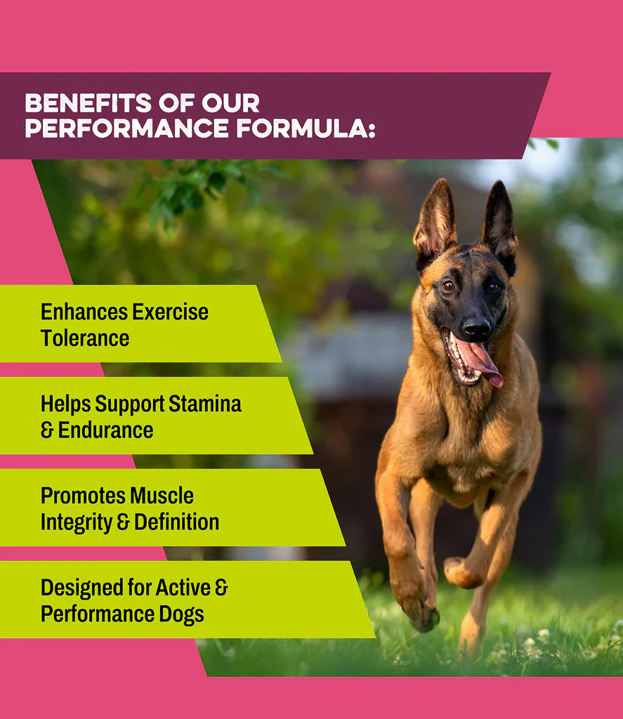 K9 Power | Super Fuel 1LB