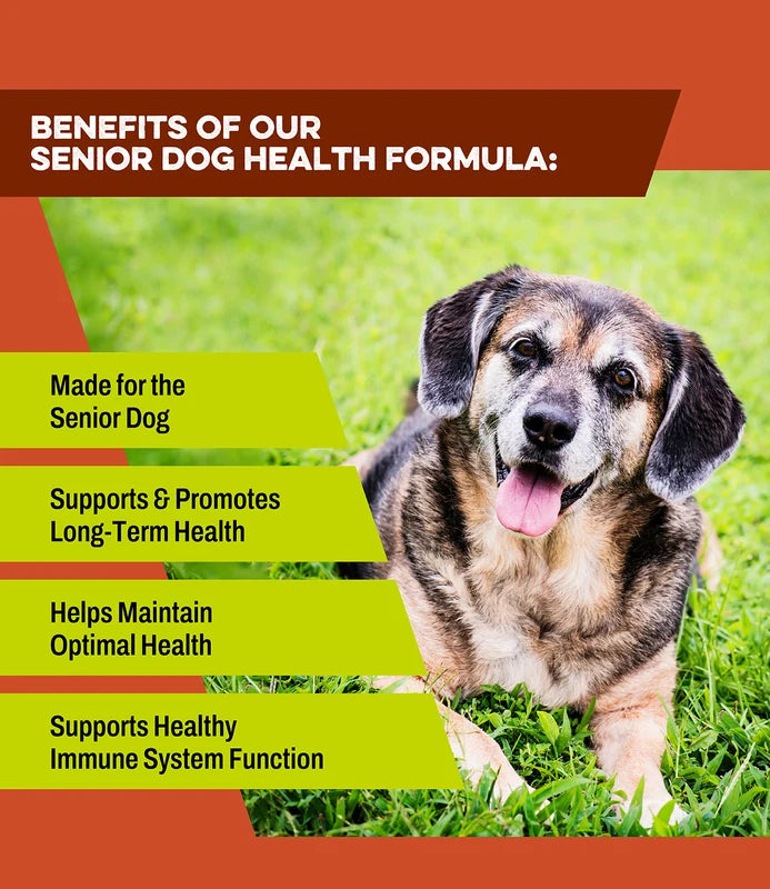 K9 Power | Young at Heart