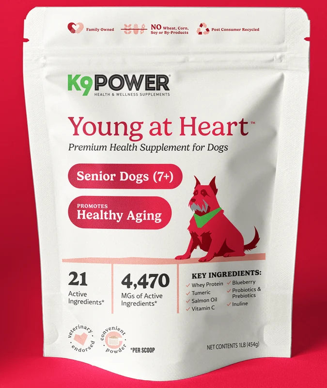 K9 Power | Young at Heart