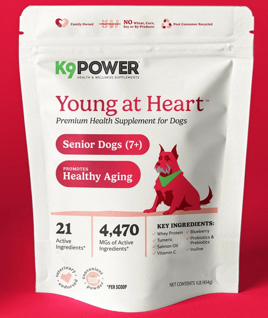 K9 Power | Young at Heart