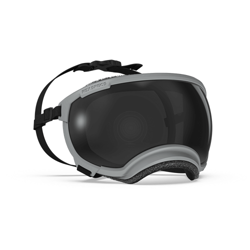 Rex Specs V2 Goggles - Gallatin Grey