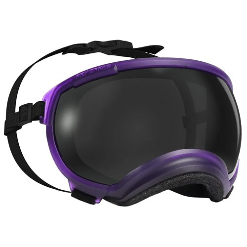 Rex Specs V2 Goggles - Riptide Purple