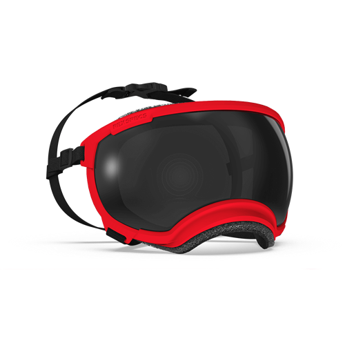 Rex Specs V2 Goggles - Volcano Red