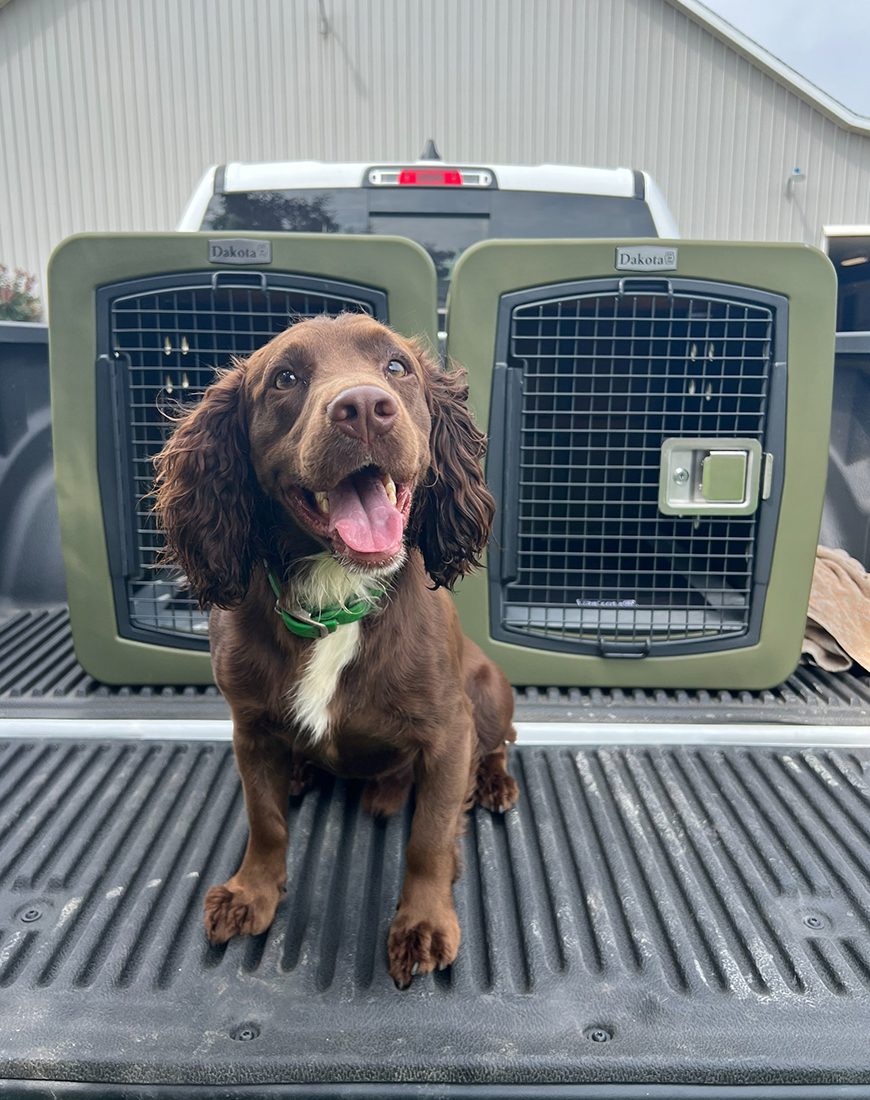 G3 Medium Framed Kennel