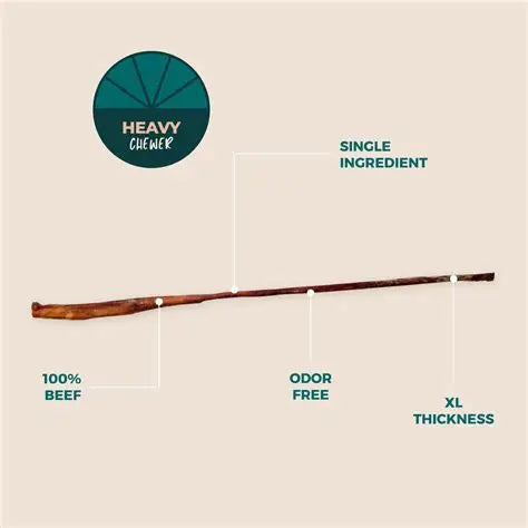 32-36" Full Cane Bully Stick - Odor Free