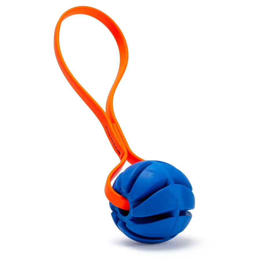 2.75" Spiral Reward Ball w/ BioThane Handle