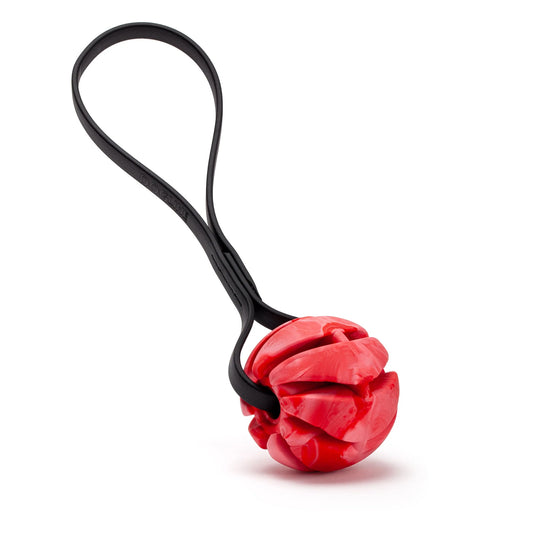 2.75" Spiral Reward Ball w/ BioThane Handle