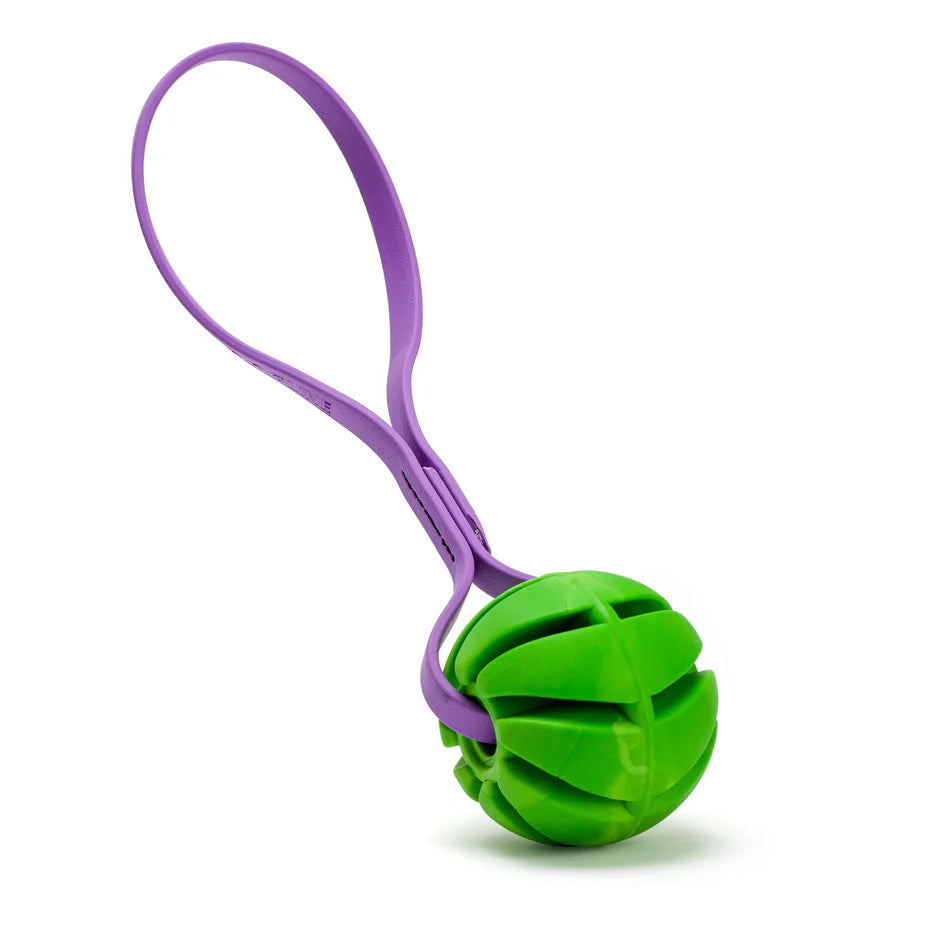 2.75" Spiral Reward Ball w/ BioThane Handle