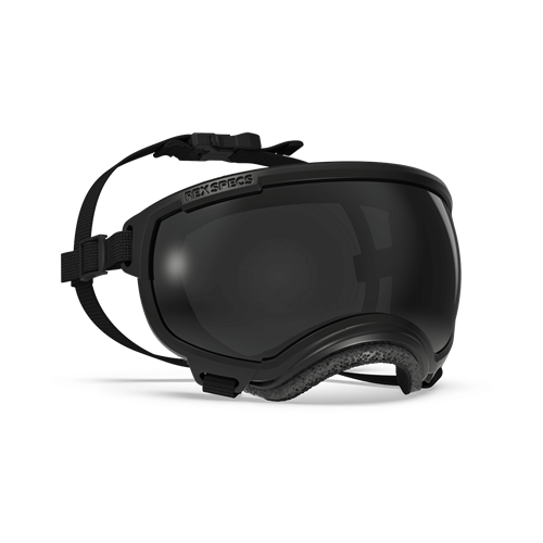 Rex Specs V2 Goggles - Small Wide
