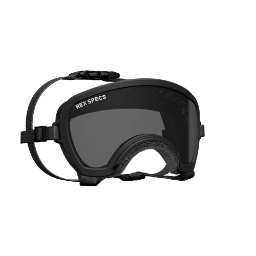 Rex Specs V2 Goggles - Small Wide