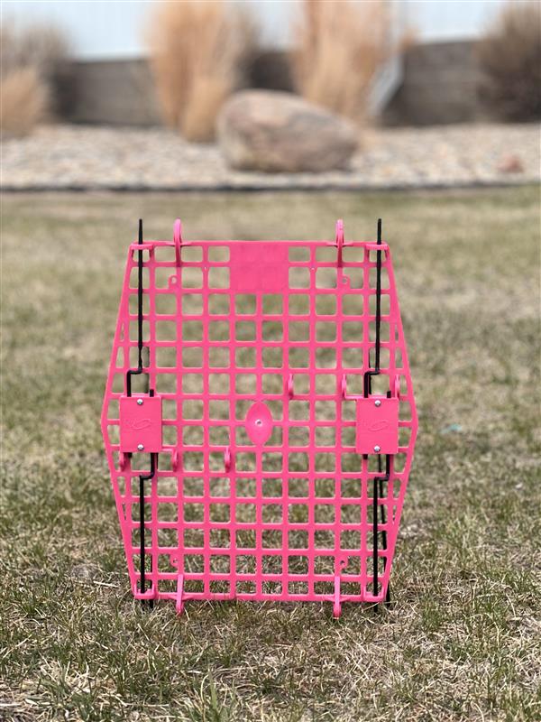Hot Pink composite door