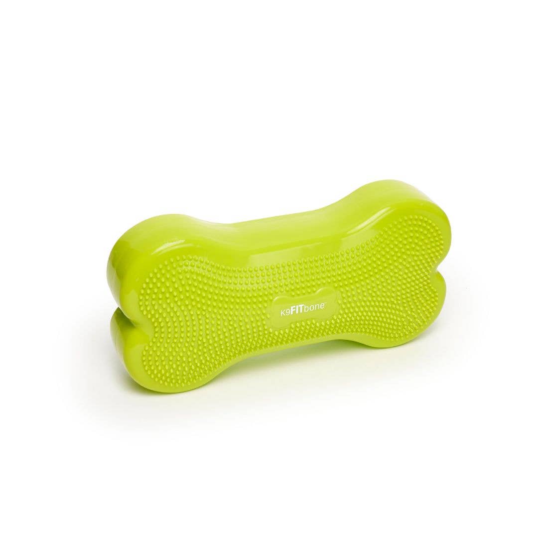 Regular K9FITbone Dog Balance Training Platform