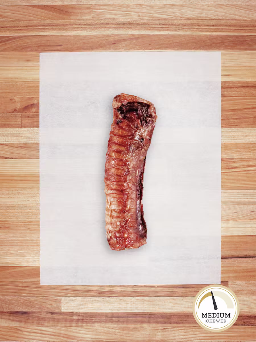Large Beef Trachea