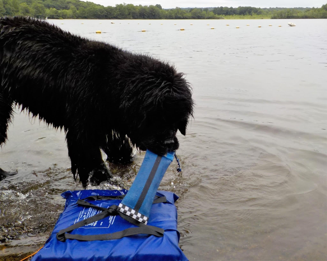Best KB Heave Hose Dog Fetching Toy