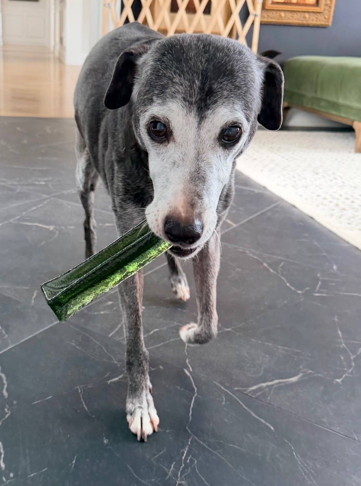 Mighty Marrows - Spirulina Beef
