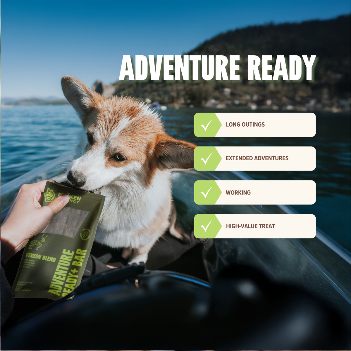 Venison Treat & Snack Bar for Active Dog - Energy & Recovery