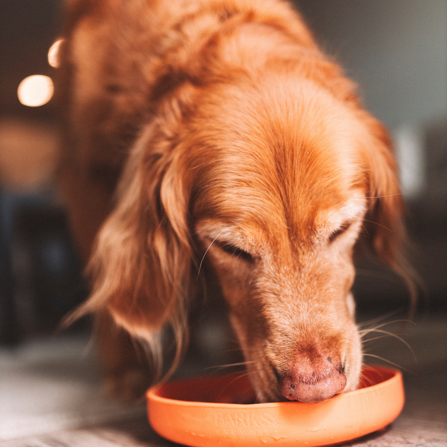 Cactus Silicone Slow Feeder Bowl - Tangerine