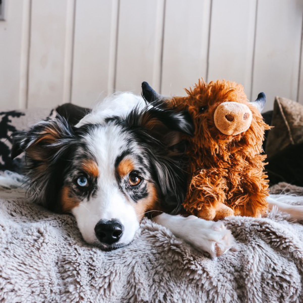 Tall Tails Highland Cow Toy