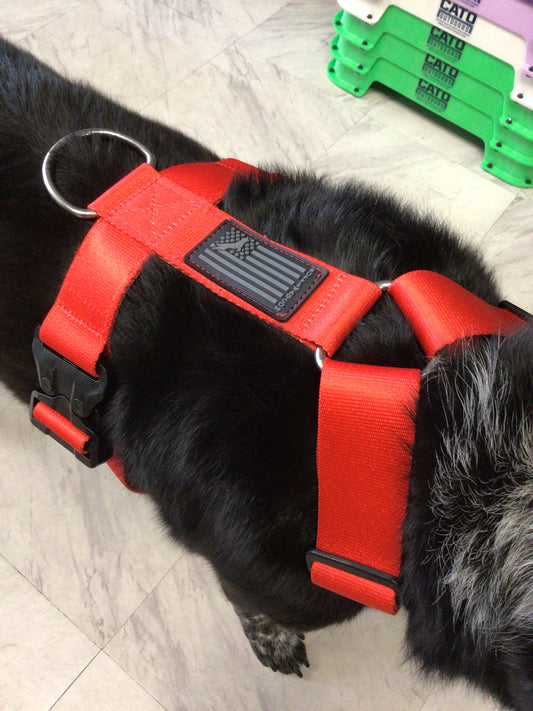 Ruff swag Adult Dog Harness