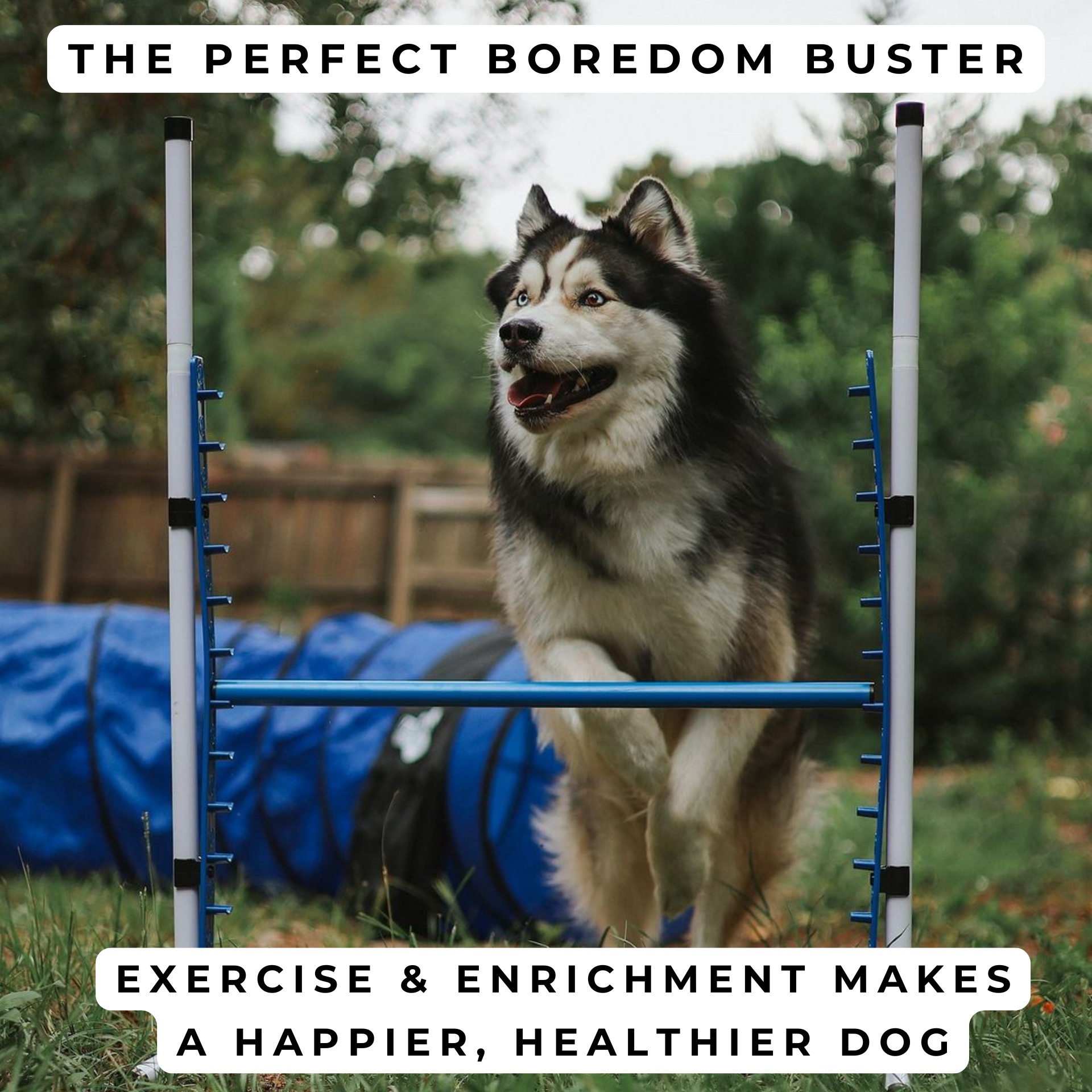 Boredom buster benefits