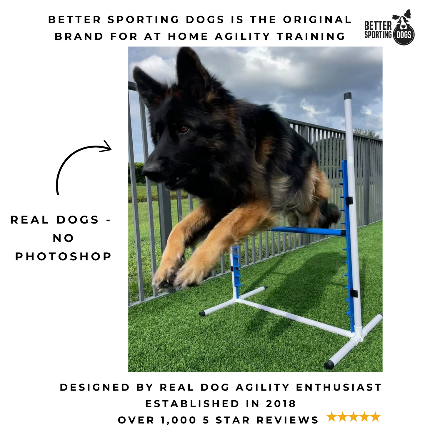 Agility jumps overview