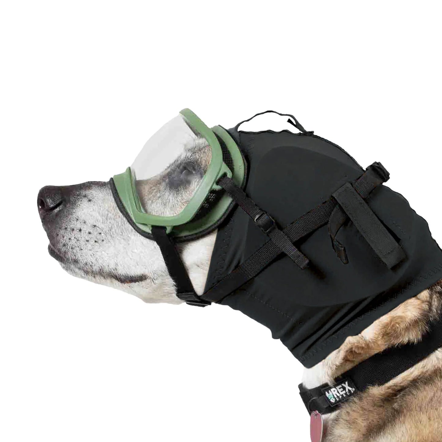 Rex Specs Ear Pro