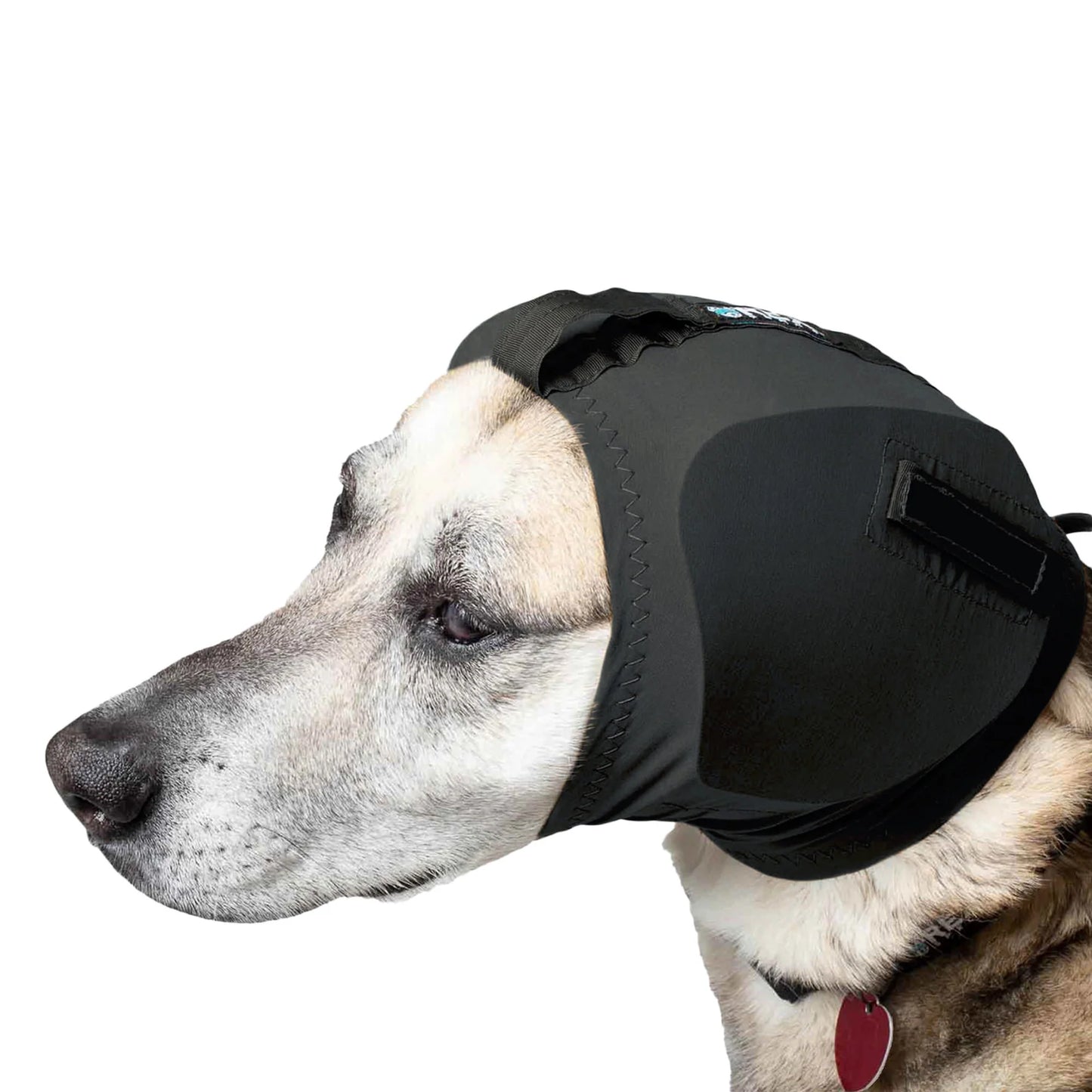 Rex Specs Ear Pro