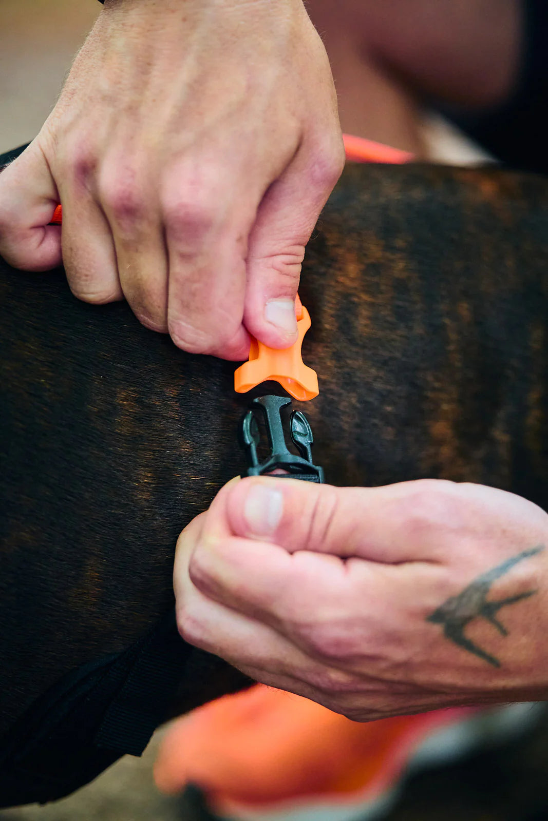 Rush Harness